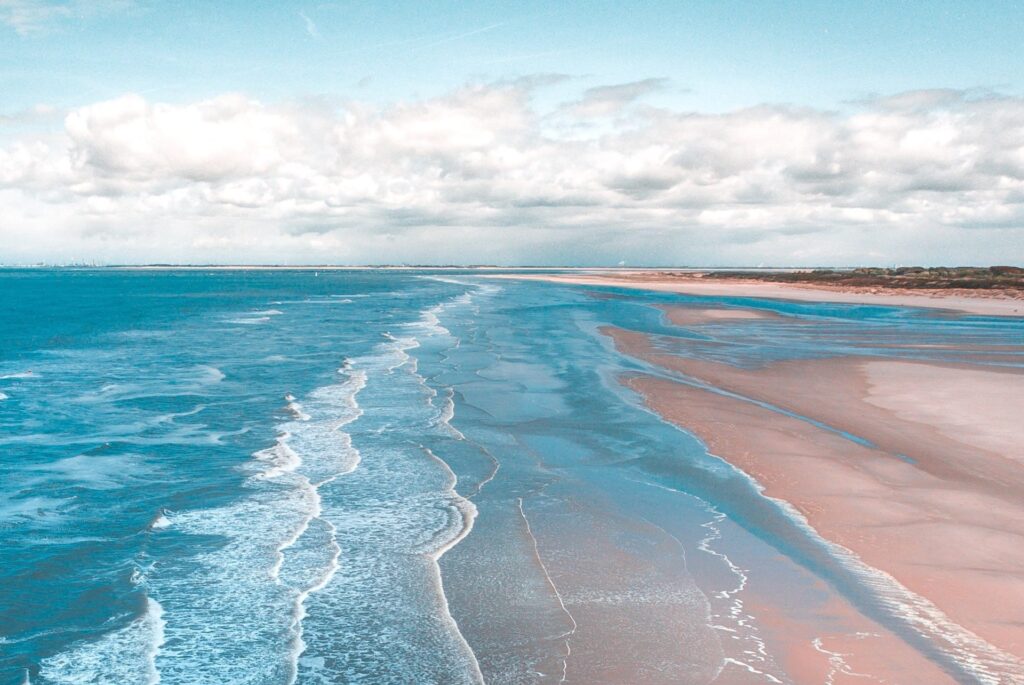 Newsletter #1 Hypervigilance